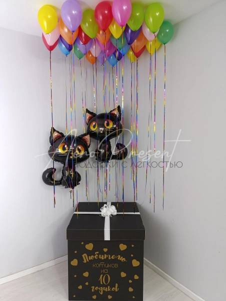 Коробка-Сюрприз с шарами "Кошечки"